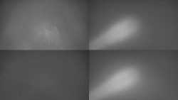 Sdružený snímek Bludný