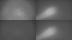 Sdružený snímek Bludný