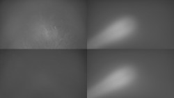 Sdružený snímek Bludný