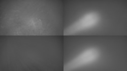 Sdružený snímek Bludný