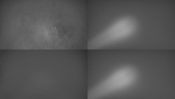 Sdružený snímek Bludný