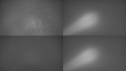 Sdružený snímek Bludný