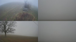 Sdružený snímek Bludný