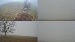 Sdružený snímek Bludný