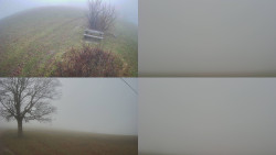 Sdružený snímek Bludný