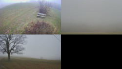 Sdružený snímek Bludný