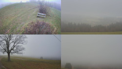 Sdružený snímek Bludný