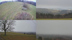 Sdružený snímek Bludný