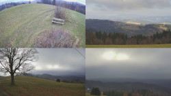 Sdružený snímek Bludný