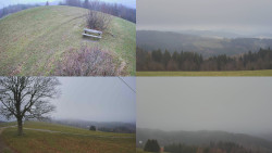 Sdružený snímek Bludný