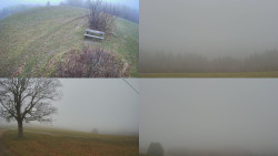 Sdružený snímek Bludný