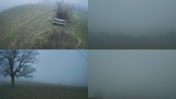 Sdružený snímek Bludný