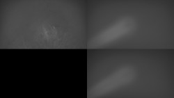 Sdružený snímek Bludný