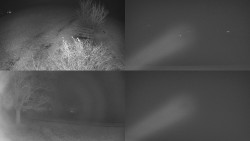 Sdružený snímek Bludný