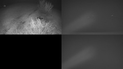 Sdružený snímek Bludný