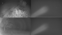 Sdružený snímek Bludný