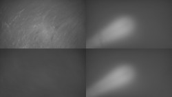 Sdružený snímek Bludný