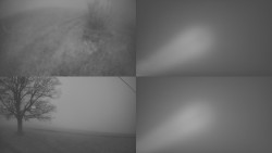 Sdružený snímek Bludný