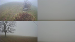 Sdružený snímek Bludný