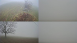 Sdružený snímek Bludný