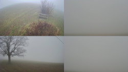 Sdružený snímek Bludný