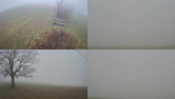 Sdružený snímek Bludný