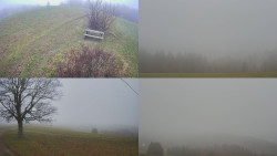 Sdružený snímek Bludný