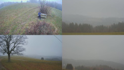 Sdružený snímek Bludný