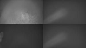 Bludný - Rajnochovice Troják - Sdružený snímek Bludný - 15.11.2025 v 18:01 Bludný - Rajnochovice Troják - Sdružený snímek Bludný - 15.11.2025 v 18:01