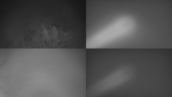 Sdružený snímek Bludný