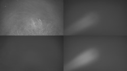 Sdružený snímek Bludný