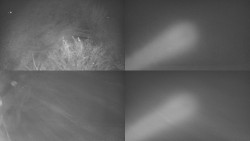 Sdružený snímek Bludný