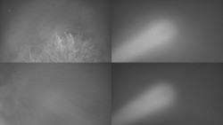 Sdružený snímek Bludný