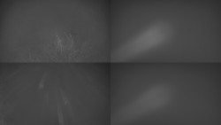 Sdružený snímek Bludný