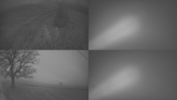 Sdružený snímek Bludný