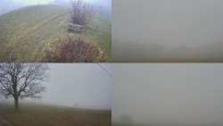 Sdružený snímek Bludný