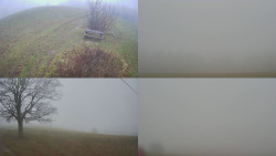 Sdružený snímek Bludný