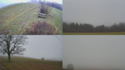 Sdružený snímek Bludný