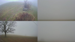 Sdružený snímek Bludný