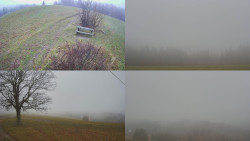 Sdružený snímek Bludný