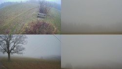 Sdružený snímek Bludný