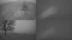 Sdružený snímek Bludný