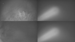 Sdružený snímek Bludný