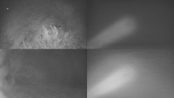 Sdružený snímek Bludný