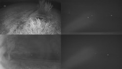 Sdružený snímek Bludný