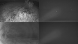 Sdružený snímek Bludný