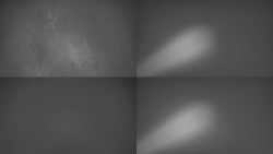 Sdružený snímek Bludný