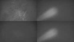 Sdružený snímek Bludný