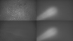 Sdružený snímek Bludný