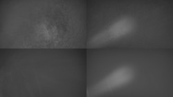 Sdružený snímek Bludný